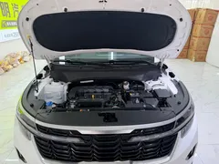2023 Kia Seltos 1.5L CVT Luxury, белый — фото 25