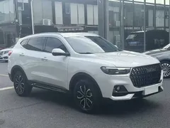 2023 Haval H6 1.5T AT Guochao Urban, белый — фото 4