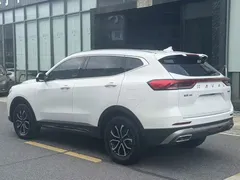 2023 Haval H6 1.5T AT Guochao Urban, белый — фото 10