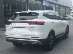 2023 Haval H6 1.5T AT Guochao Urban, белый — фото 12