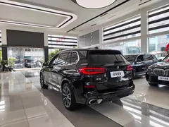 2022 BMW X5 30Li Premium M Sport Package, чёрный — фото 4
