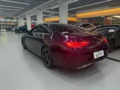 2021 Mercedes-Benz CLS 300 Luxury — фото 7