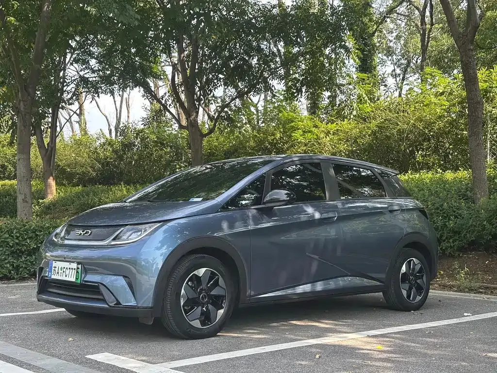 2023 BYD Dolphin 420km Freedom