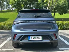 2023 BYD Dolphin 420km Freedom, синий — фото 14