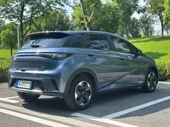 2023 BYD Dolphin 420km Freedom, синий — фото 15