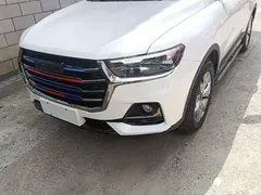 2021 Haval H6 1.5GDIT AT, белый — фото 18