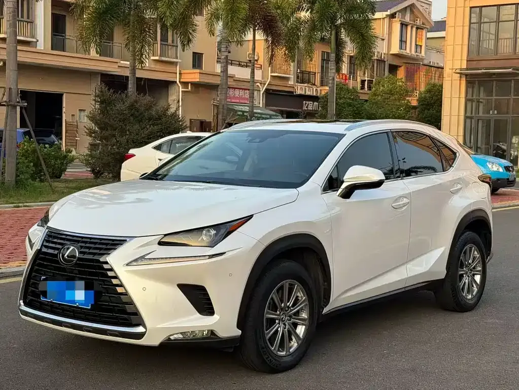 2020 Lexus NX 200 Fashion VI