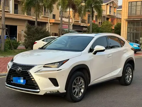 2020 Lexus NX 200 Fashion VI