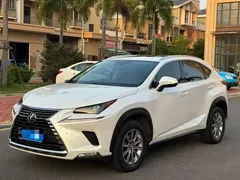 2020 Lexus NX 200 Fashion VI, белый — фото 1