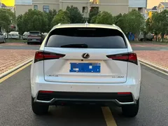 2020 Lexus NX 200 Fashion VI, белый — фото 8