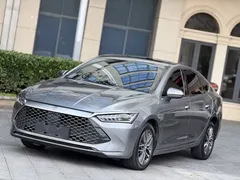2023 BYD Qin PLUS DM-i 120KM — фото 1