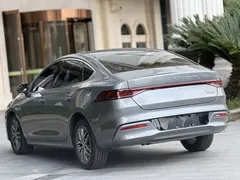 2023 BYD Qin PLUS DM-i 120KM — фото 10