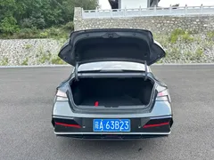 2023 Hyundai Elantra 1.5L CVT GLX Elite — фото 9