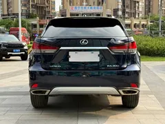 2020 Lexus RX 300 4WD Luxury, синий — фото 6