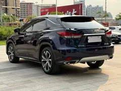 2020 Lexus RX 300 4WD Luxury, синий — фото 7