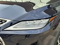 2020 Lexus RX 300 4WD Luxury, синий — фото 11
