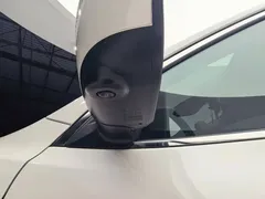 2022 Nissan Qashqai 2.0L CVT XV Prem Luxury, белый — фото 14