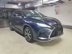 2020 Lexus RX 300 4WD, синий — фото 4