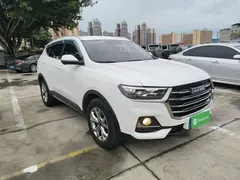 2021 Haval H6 1.5GDIT AT Guochao Champion, белый — фото 4