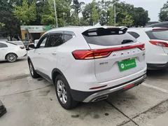 2021 Haval H6 1.5GDIT AT Guochao Champion, белый — фото 5