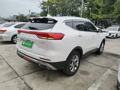2021 Haval H6 1.5GDIT AT Guochao Champion, белый — фото 7