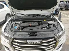 2021 Haval H6 1.5GDIT AT Guochao Champion, белый — фото 20