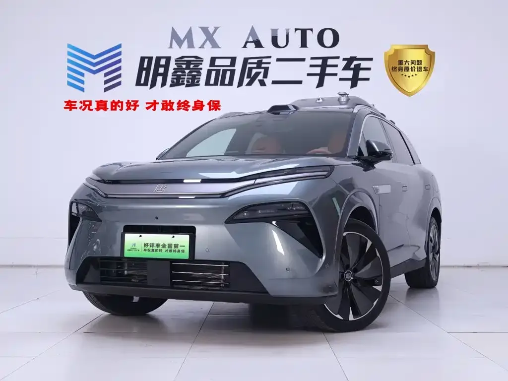 2025 BYD Tang L 175KM