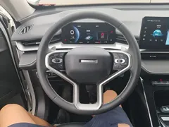2022 Haval H6 3rd Gen 1.5T AT 2WD Pro, белый — фото 11