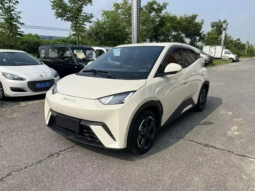 2024 BYD Seagull Honor 305km Vitality
