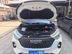 2021 Haval M6 PLUS 1.5T DCT, белый — фото 20