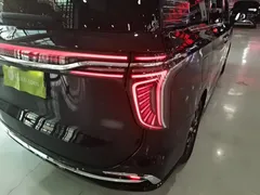 2023 Hongqi HQ9 2.0T — фото 8