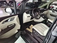 2023 Hongqi HQ9 2.0T — фото 16