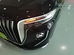 2023 Hongqi HQ9 2.0T — фото 24