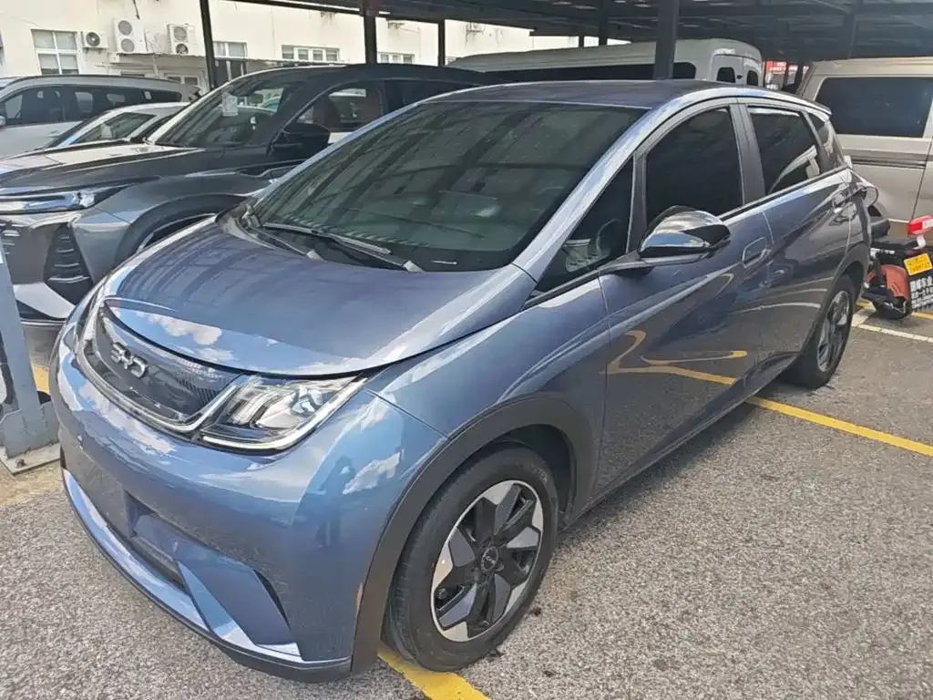 2024 BYD Dolphin Glory 420km Freedom