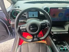 2024 BYD Dolphin Glory 420km Freedom — фото 7