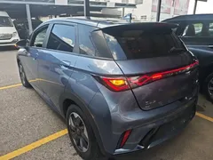2024 BYD Dolphin Glory 420km Freedom — фото 23