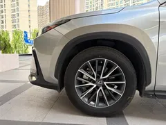 2022 Lexus NX 350h — фото 11