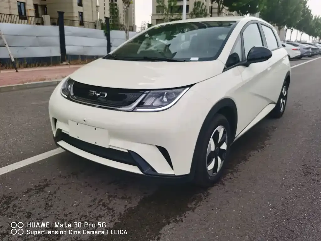 2025 BYD Dolphin 420km Freedom