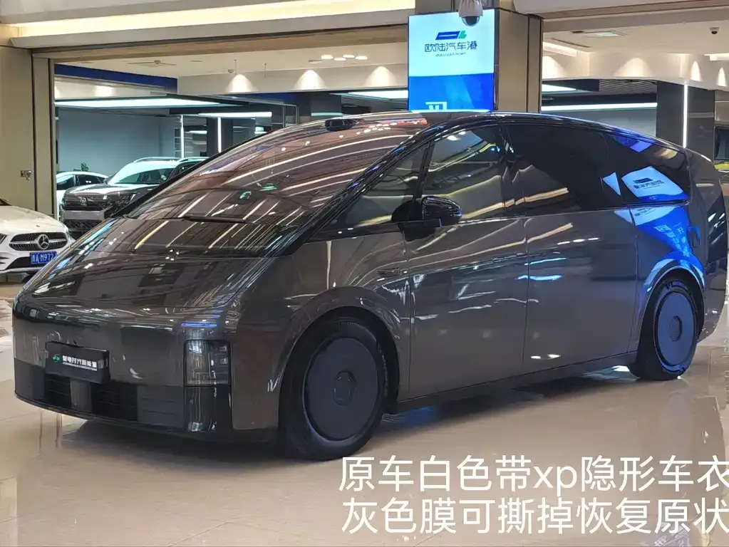 2025 Li Auto MEGA Home