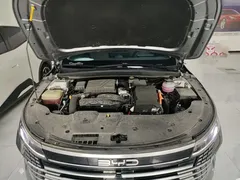 2024 BYD Destroyer 05 DM-i PHEV 120KM Luxury — фото 16