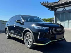 2022 Haval Chitu 1.5T, чёрный — фото 3