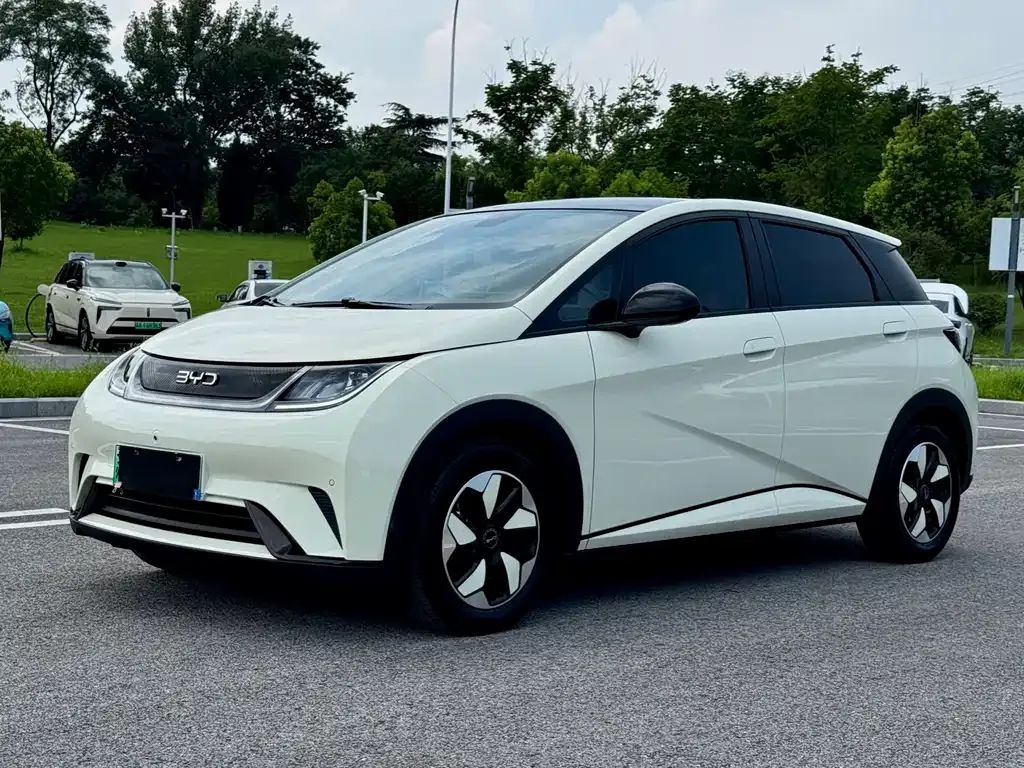 2024 BYD Dolphin Honor 420km Fashion
