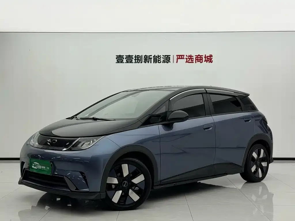2025 BYD Dolphin EV 520km Knight