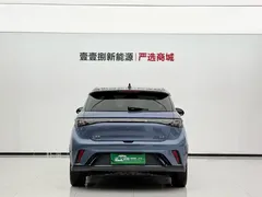 2025 BYD Dolphin EV 520km Knight, синий — фото 9