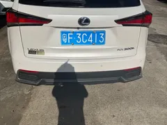 2020 Lexus NX 300h Fashion V, белый — фото 9