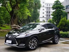 2020 Lexus RX 300 2WD Comfort, чёрный — фото 1