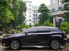 2020 Lexus RX 300 2WD Comfort, чёрный — фото 5