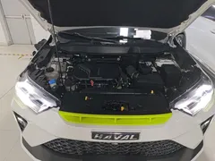 2022 Haval H6S 2.0T 4WD, белый — фото 20
