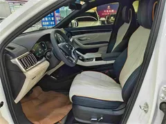 2021 BYD Song PLUS EV Flagship, белый — фото 9