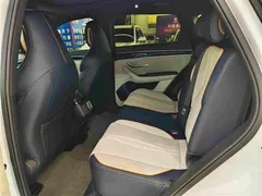 2021 BYD Song PLUS EV Flagship, белый — фото 10